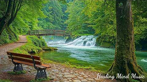 Music Therapy 🌿 Relaxing Music to Reduce Stress, Stop Overthinking, Calming Music, Deep Sleep