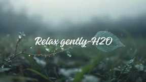 Relaxing music helps reduce stress and fatigue after work and study, easing pressure and weariness