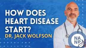 How Does Heart Disease Start? with Dr. Jack Wolfson - Nourishing You Podcast