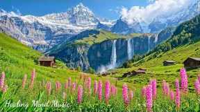 Soothing Music Helps Reduce Stress 🌿 Gentle Piano Melodies Help Relax and Stop Overthinking