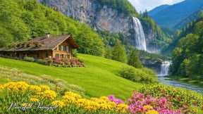 Restores The Nervous System - Stop Overthinking Reduce Anxiety & Inner Peace