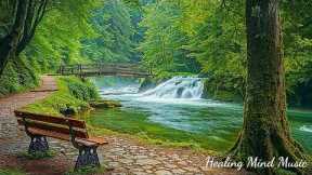 Music Therapy 🌿 Relaxing Music to Reduce Stress, Stop Overthinking, Calming Music, Deep Sleep