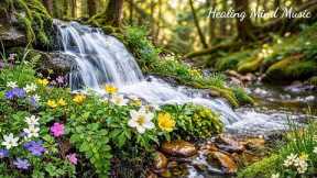 Restore Your Nervous System 🌿 Reduce Stress, Stop Overthinking & Calming Music, Sleep Music