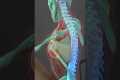 Best Stretch for Side Neck Pain and