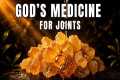 10 Biblical Herbs to 'Revive' Aging