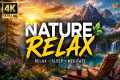 Relaxing instrumental music to reduce 