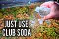 Do This NOW to Save Your Aquarium