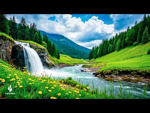 Good relaxing music to reduce stress - Relaxing music for mental healing & meditation