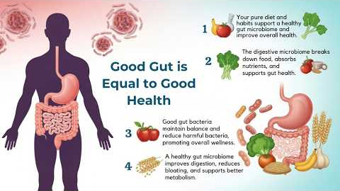 Gut Health Explained: How Your Microbiome Affects Digestion, Immunity & Mood.