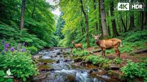Good relaxing music to reduce stress - Music heals the heart and blood vessels