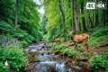 Good relaxing music to reduce stress