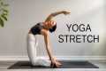 15 Minute Yoga Stretch Break | Open